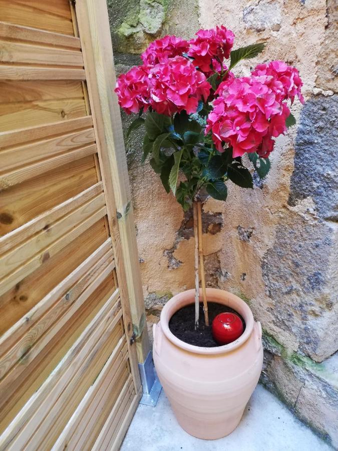 Les Insolites De Apartment